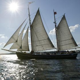 33 free spins true blue casino